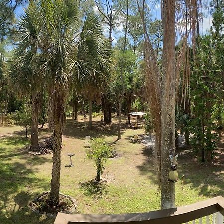 "Mia'S Place" Beautiful Private Apartment Surrounded By Nature เนเปิลส์ ภายนอก รูปภาพ