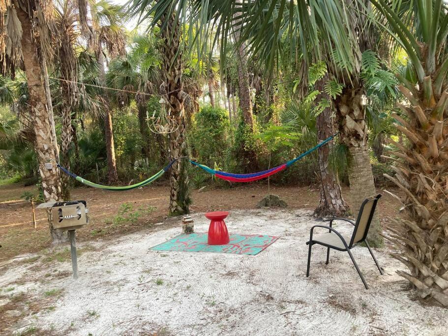 "Mia'S Place" Beautiful Private Apartment Surrounded By Nature เนเปิลส์ ภายนอก รูปภาพ